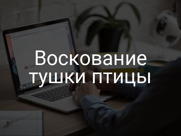 Воскование тушки птицы