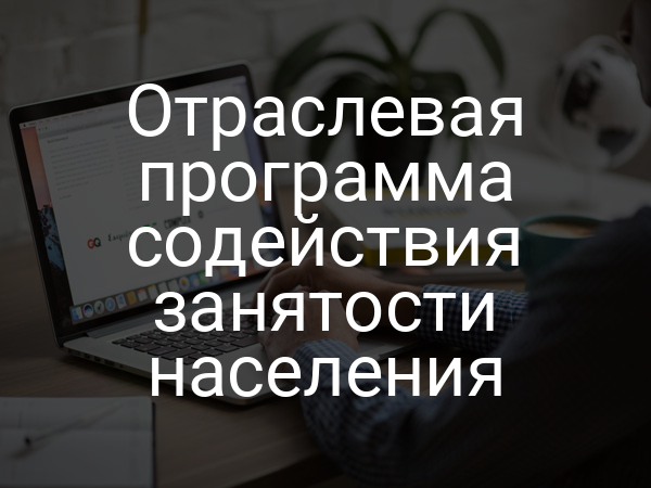 Отраслевая программа содействия занятости населения