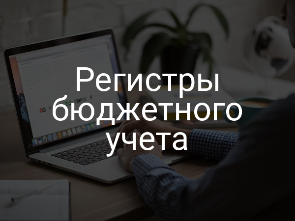 Регистры бюджетного учета