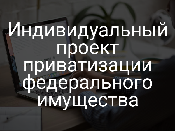 Индивидуальный проект приватизации федерального имущества