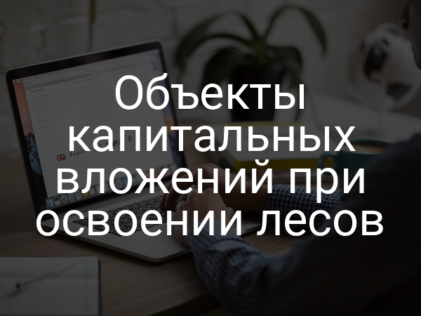 Объекты капитальных вложений при освоении лесов