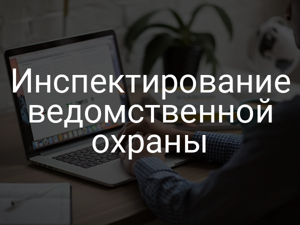 Инспектирование ведомственной охраны