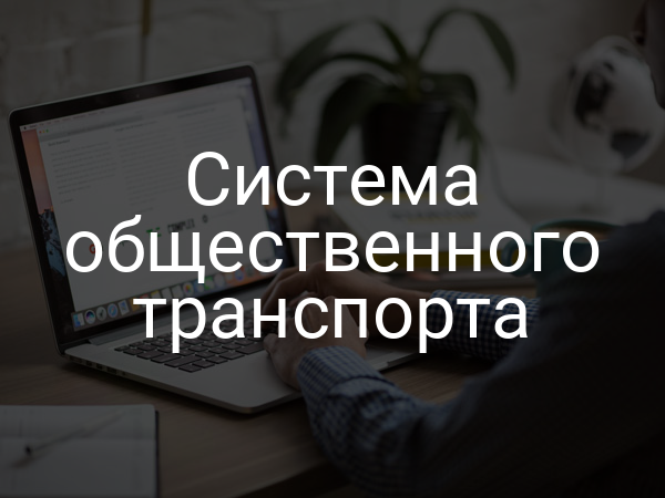 Система общественного транспорта