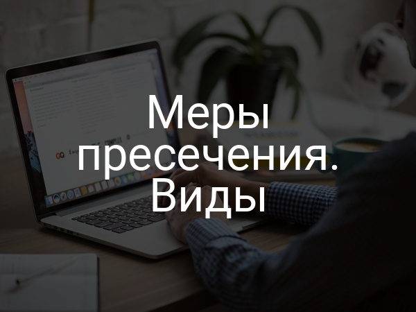Меры пресечения. Виды