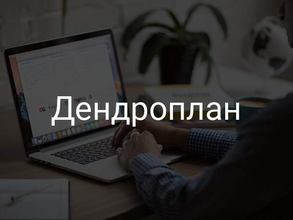 Дендроплан