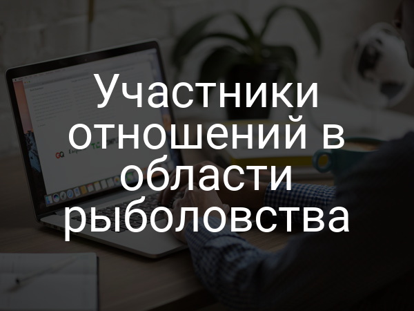 Участники отношений в области рыболовства