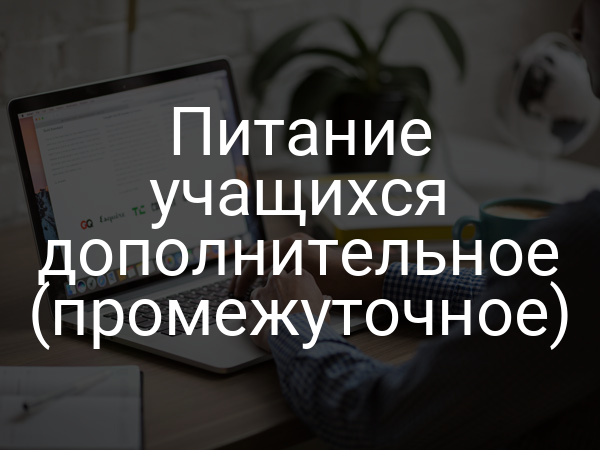 Питание учащихся дополнительное (промежуточное)