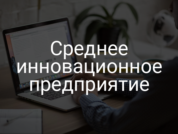 Среднее инновационное предприятие