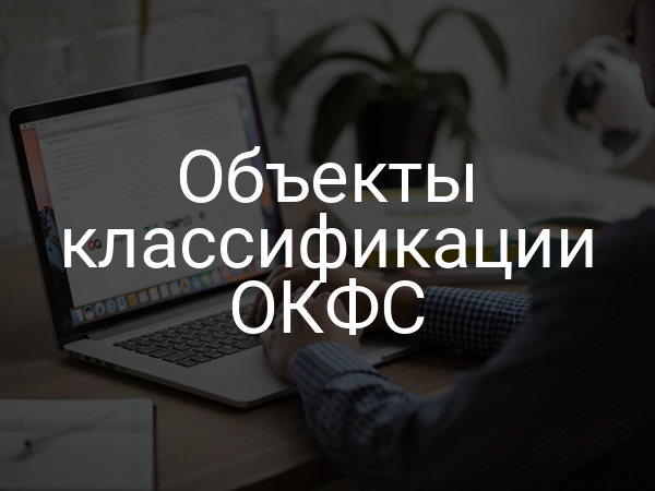 Объекты классификации ОКФС