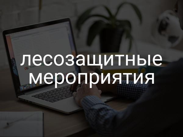 Лесозащитные мероприятия