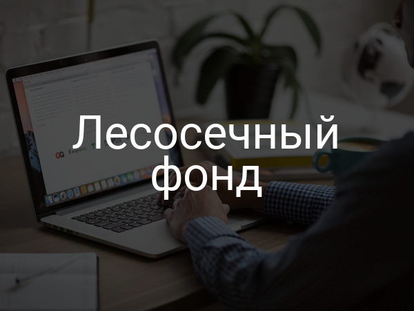 Лесосечный фонд