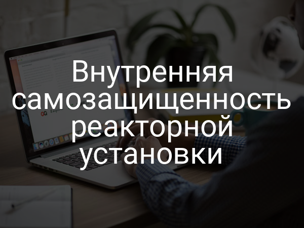 Внутренняя самозащищенность реакторной установки