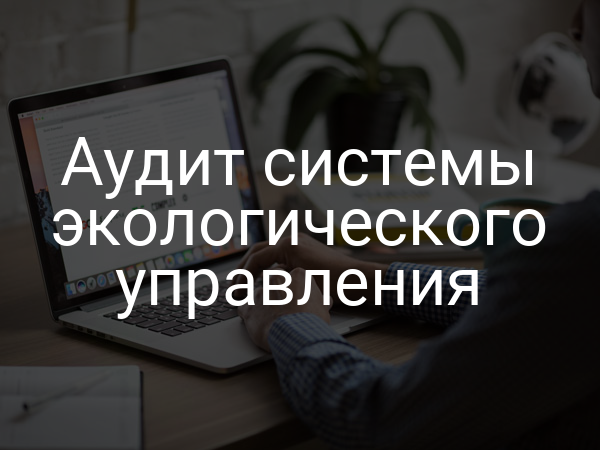 Аудит системы экологического управления