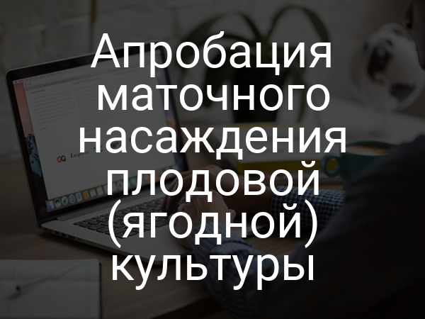 Апробация маточного насаждения плодовой (ягодной) культуры