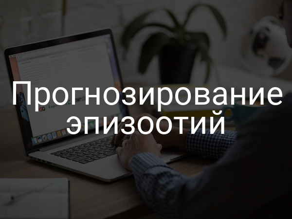 Прогнозирование эпизоотий