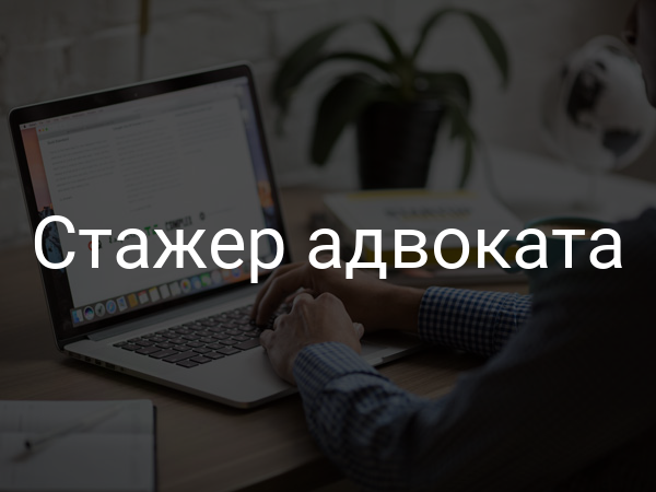 Стажер адвоката