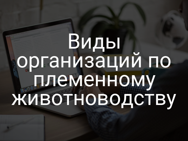 Виды организаций по племенному животноводству
