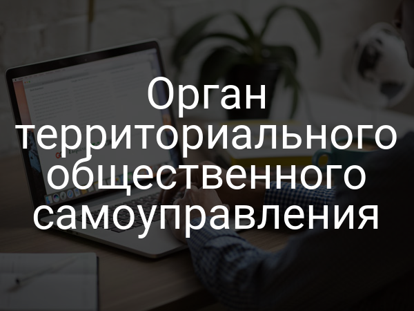 Орган территориального общественного самоуправления