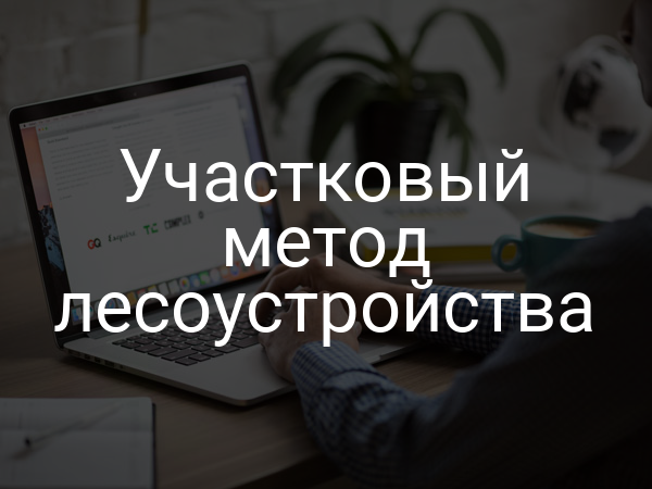 Участковый метод лесоустройства