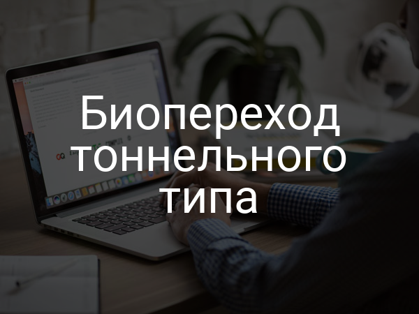 Биопереход тоннельного типа