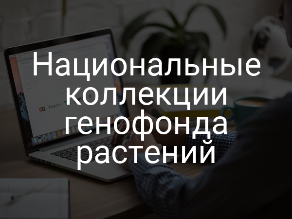 Национальные коллекции генофонда растений