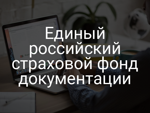 Единый российский страховой фонд документации