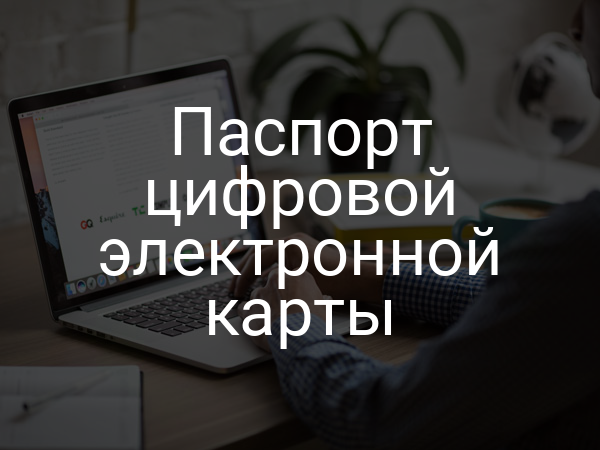Паспорт цифровой электронной карты