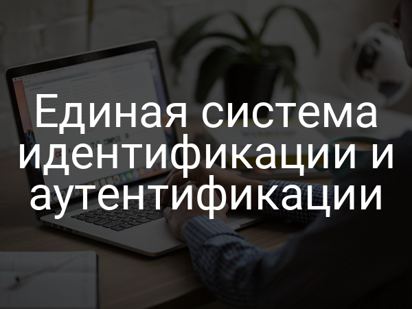 Единая система идентификации и аутентификации