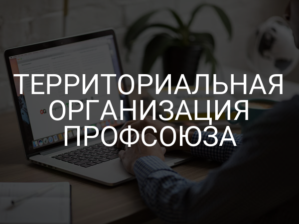 Территориальная организация профсоюза