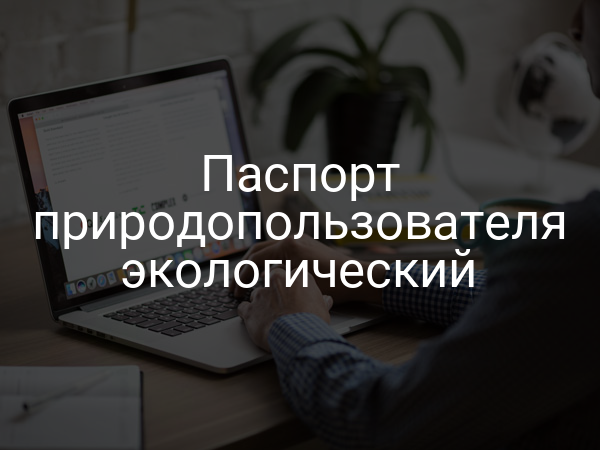 Паспорт природопользователя экологический