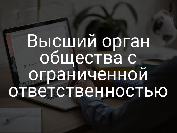 Высший орган общества с ограниченной ответственностью