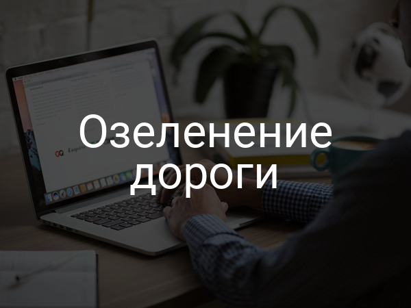 Озеленение дороги