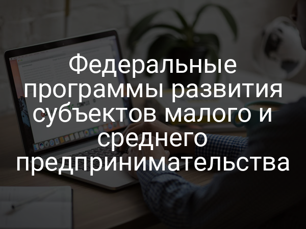 Федеральные программы развития субъектов малого и среднего предпринимательства
