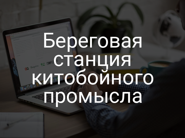 Береговая станция китобойного промысла