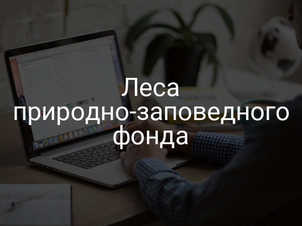 Леса природно-заповедного фонда