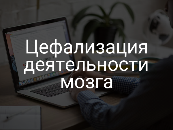 Цефализация деятельности мозга