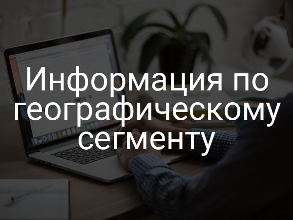 Информация по географическому сегменту