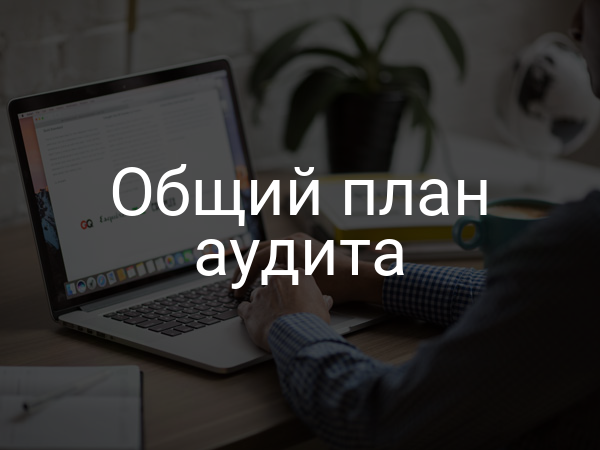 Общий план аудита
