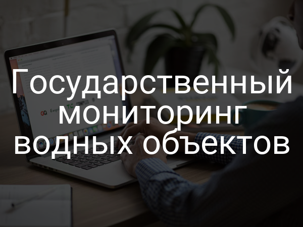 Государственный мониторинг водных объектов