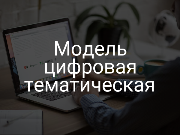 Модель цифровая тематическая