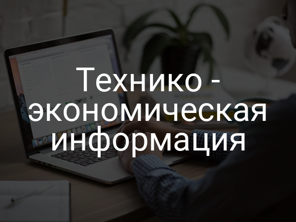 Технико - экономическая информация