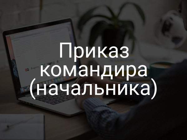 Приказ командира (начальника)