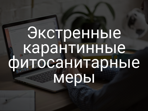 Экстренные карантинные фитосанитарные меры
