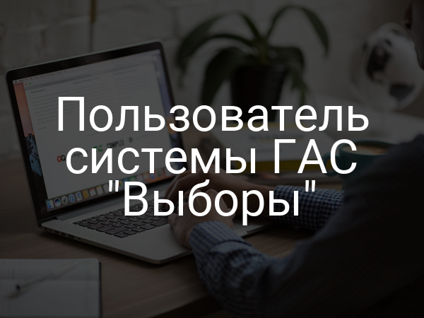 Пользователь системы ГАС "Выборы"