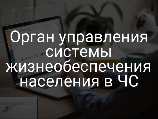 Орган управления системы жизнеобеспечения населения в ЧС