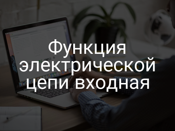 Функция электрической цепи входная