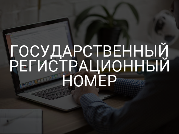 Государственный регистрационный номер