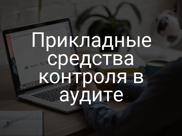 Прикладные средства контроля в аудите