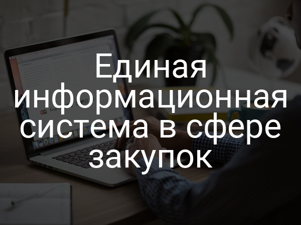 Единая информационная система в сфере закупок