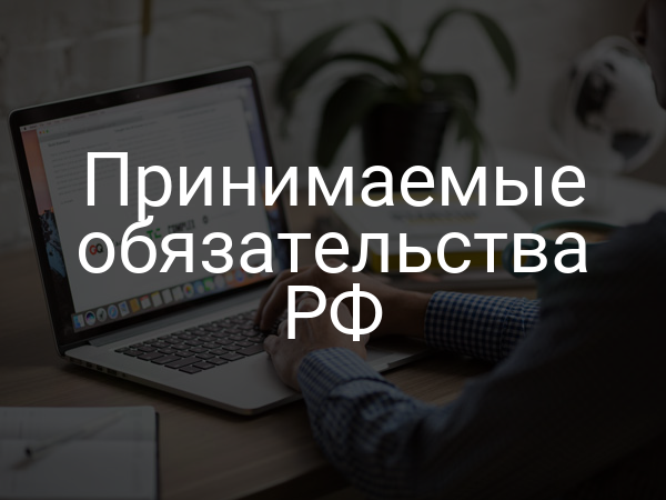 Принимаемые обязательства РФ
